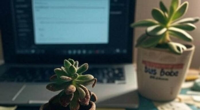 Learn, Earn, Empower: Top Online Courses for Women Blurry desk with laptop, chipped "Boss Babe" mug, sad succulent, sticky notes, spilled coffee.