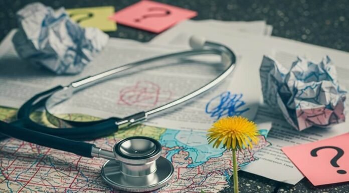 A State-by-State Guide to Reproductive Laws in America A crumpled map with a stethoscope, legal papers, and a dandelion.